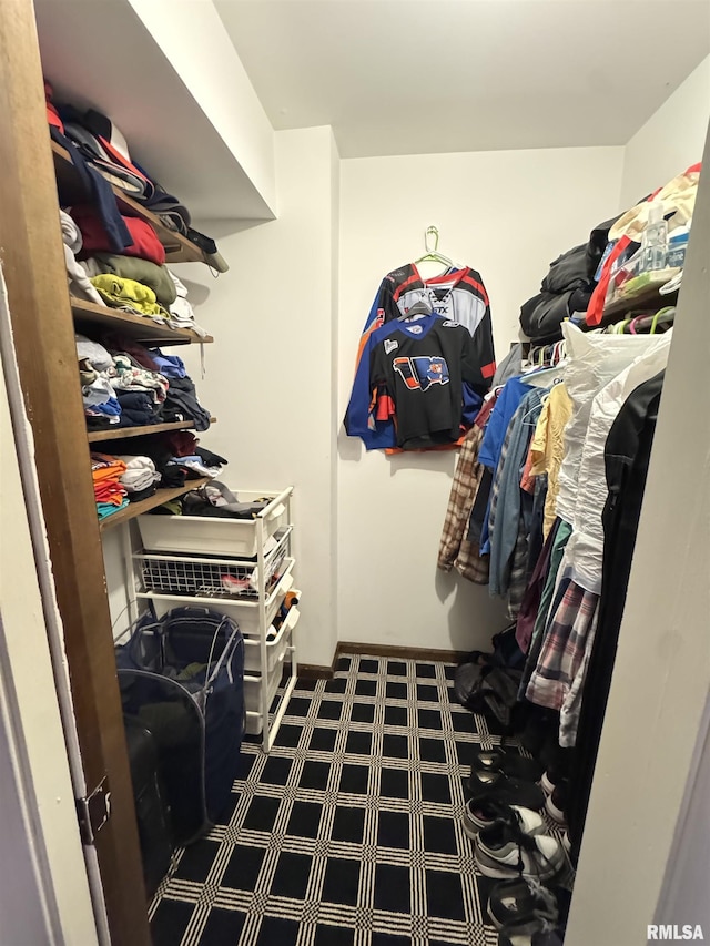 6 Ottawa Trl, Galesburg, IL 61401 - view of spacious closet