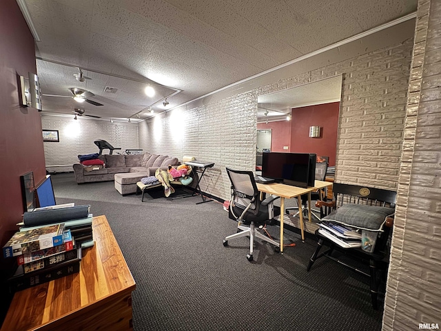 6 Ottawa Trl, Galesburg, IL 61401 - carpeted office space with a ceiling fan, ornamental molding, and rail lighting