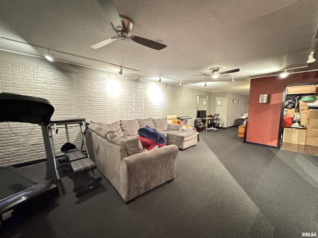 6 Ottawa Trl, Galesburg, IL 61401 - living area with rail lighting, ceiling fan, a textured ceiling, and carpet floors