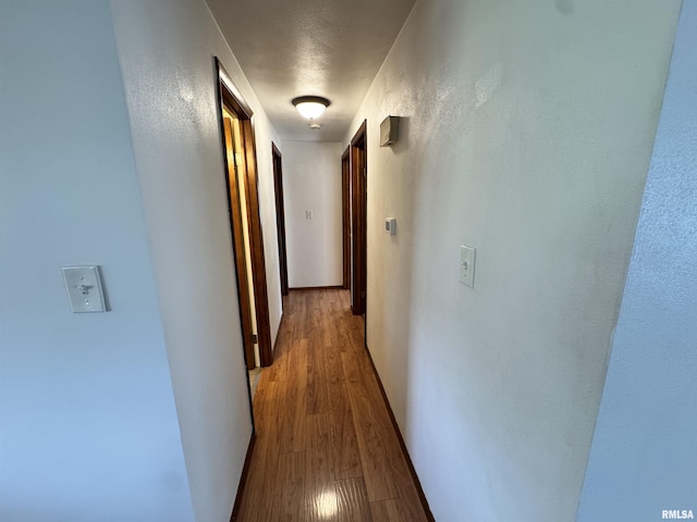 1275 Sunview Dr, Canton, IL 61520 - hall with wood finished floors and a textured wall