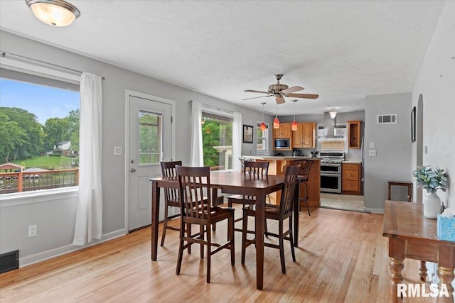 14 Beachview Ln, Springfield, IL 62712 - dining area featuring light wood finished floors, a ceiling fan, and a textured ceiling