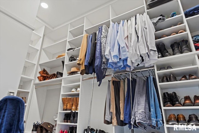 2004 Grants Pond, Chatham, IL 62629 - view of walk in closet