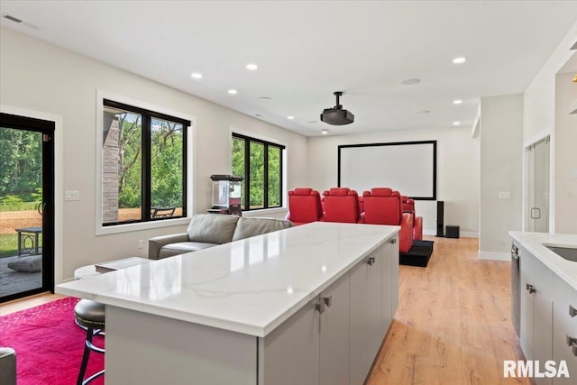 2004 Grants Pond, Chatham, IL 62629 - home theater featuring light wood-style floors and recessed lighting