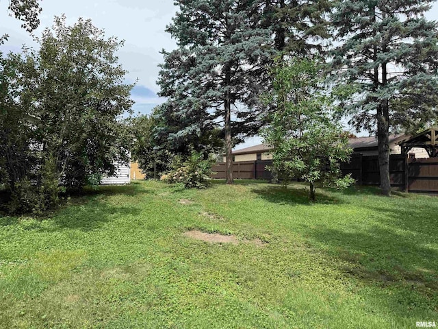 161 Hawkinson Ave, Galesburg, IL 61401 - view of yard