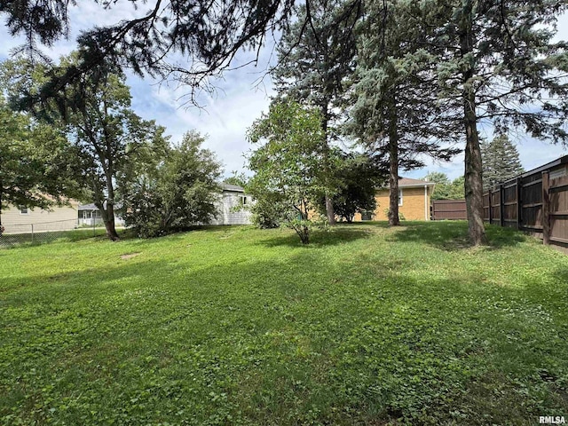161 Hawkinson Ave, Galesburg, IL 61401 - view of yard