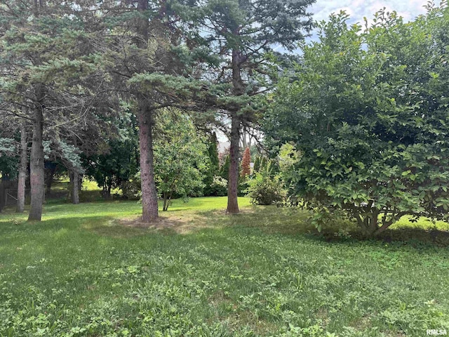 161 Hawkinson Ave, Galesburg, IL 61401 - view of green lawn