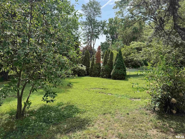 161 Hawkinson Ave, Galesburg, IL 61401 - view of yard