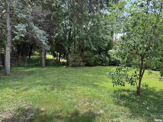 161 Hawkinson Ave, Galesburg, IL 61401 - view of yard