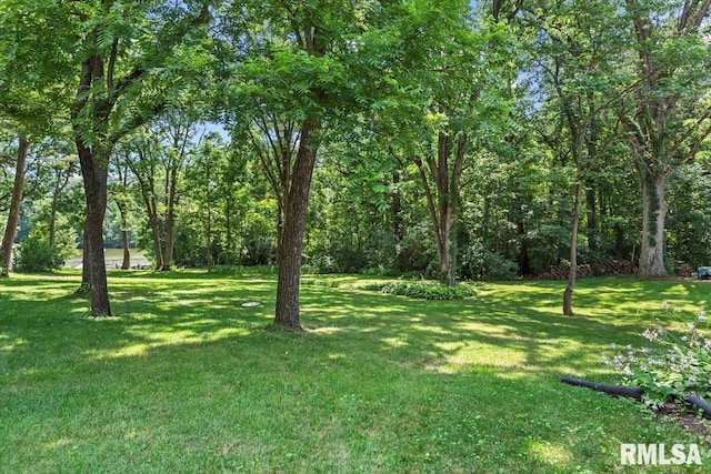 57 Oak Ln, Springfield, IL 62712 - photo 45