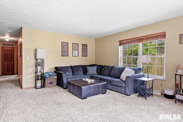 13 Birch Dr, Chatham, IL 62629 - photo 12