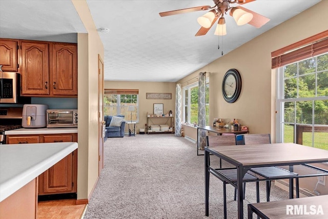 13 Birch Dr, Chatham, IL 62629 - photo 6