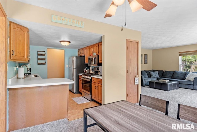 13 Birch Dr, Chatham, IL 62629 - photo 7