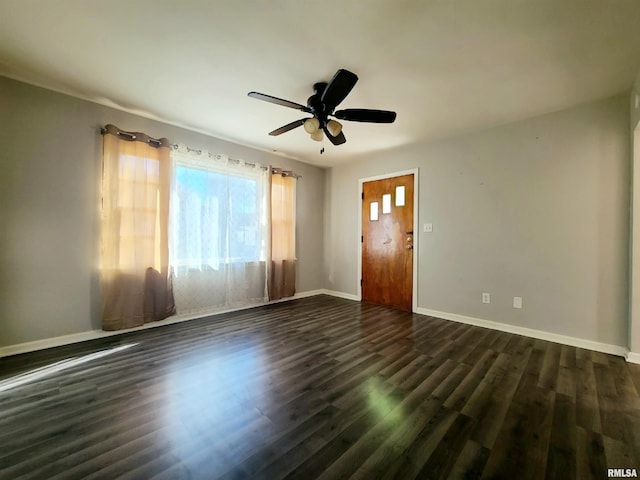 1113 N Rutledge St, Springfield, IL 62702 - photo 3