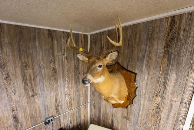 23490 E Maple Rd, Bluford, IL 62814 - detailed view of a textured ceiling and wood walls