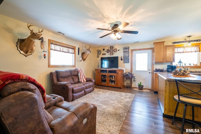 23490 E Maple Rd, Bluford, IL 62814 - living room with plenty of natural light, ceiling fan, and dark wood finished floors