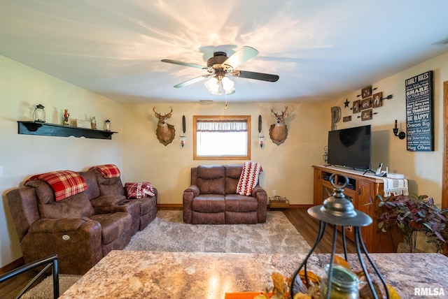 23490 E Maple Rd, Bluford, IL 62814 - living room with ceiling fan and wood finished floors