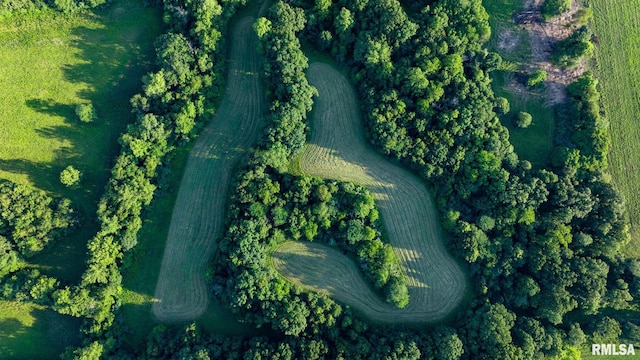 23490 E Maple Rd, Bluford, IL 62814 - aerial view of property's location