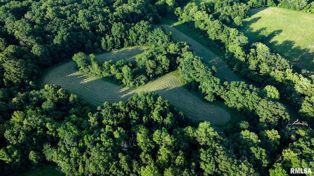 23490 E Maple Rd, Bluford, IL 62814 - aerial view of property and surrounding area featuring rural landscape