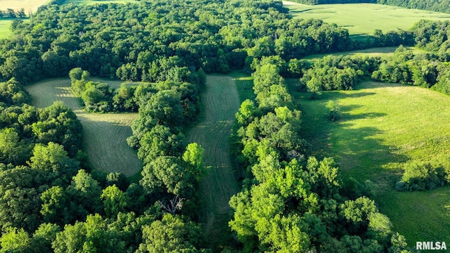 23490 E Maple Rd, Bluford, IL 62814 - aerial view of property's location with rural landscape
