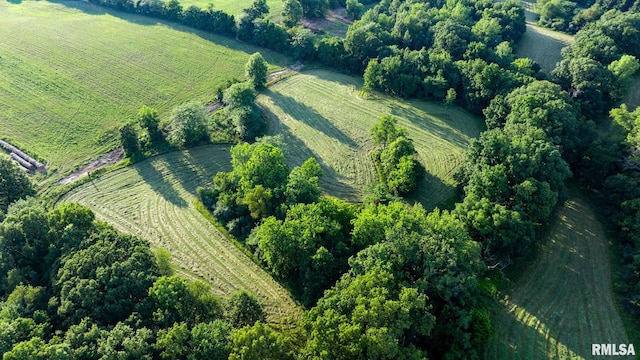23490 E Maple Rd, Bluford, IL 62814 - view of property location featuring rural landscape and rows of crops