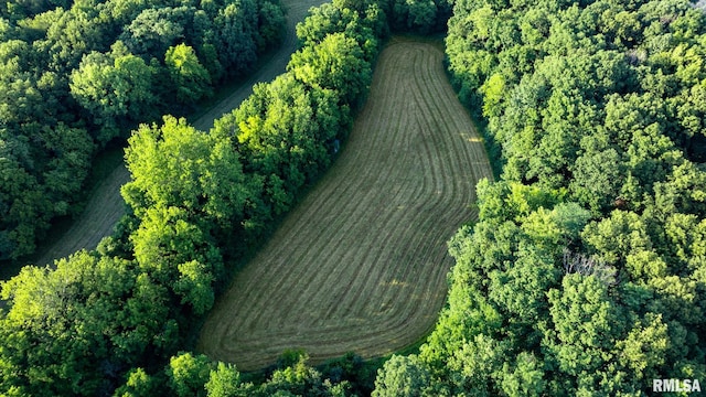 23490 E Maple Rd, Bluford, IL 62814 - aerial view of property and surrounding area