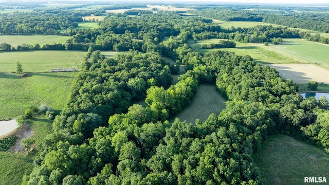 23490 E Maple Rd, Bluford, IL 62814 - aerial view of property's location featuring rural landscape
