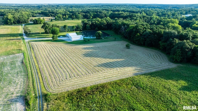 23490 E Maple Rd, Bluford, IL 62814 - aerial view of sparsely populated area with a forest