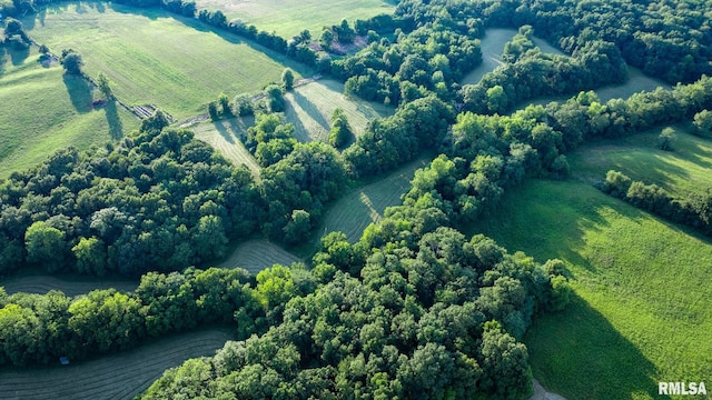 23490 E Maple Rd, Bluford, IL 62814 - view of rural area