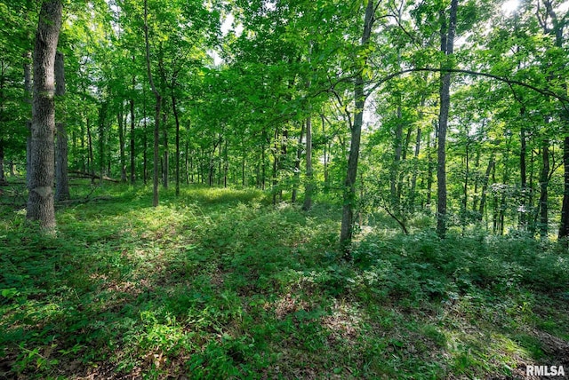 23490 E Maple Rd, Bluford, IL 62814 - view of tree filled area