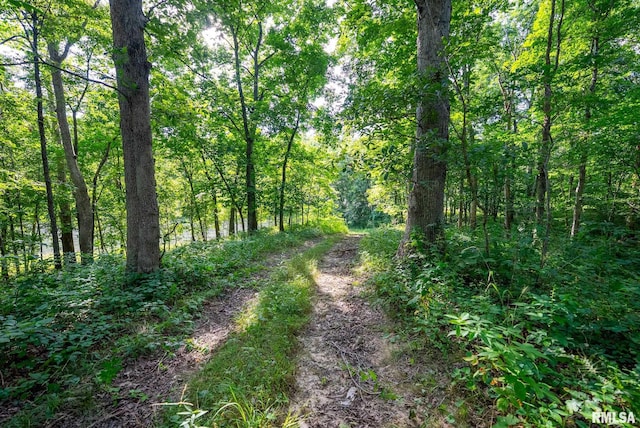 23490 E Maple Rd, Bluford, IL 62814 - view of tree filled area