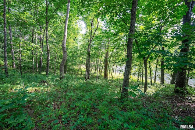 23490 E Maple Rd, Bluford, IL 62814 - view of woods