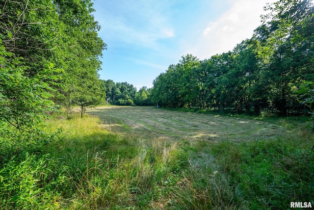 23490 E Maple Rd, Bluford, IL 62814 - view of yard with a forest view