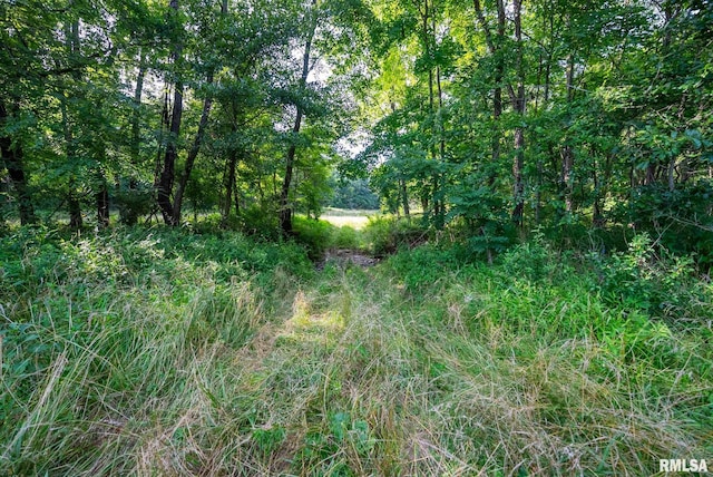 23490 E Maple Rd, Bluford, IL 62814 - view of undeveloped land