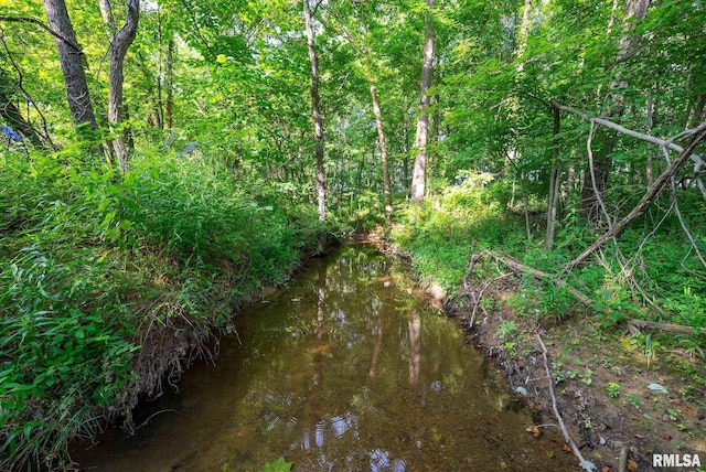 23490 E Maple Rd, Bluford, IL 62814 - view of nature