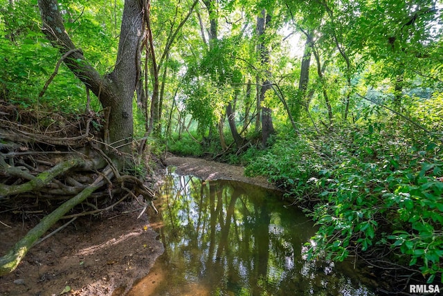 23490 E Maple Rd, Bluford, IL 62814 - view of wooded area