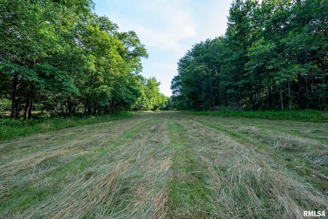 23490 E Maple Rd, Bluford, IL 62814 - view of street with a wooded view