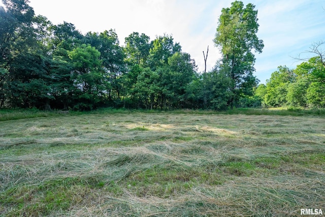 23490 E Maple Rd, Bluford, IL 62814 - view of yard