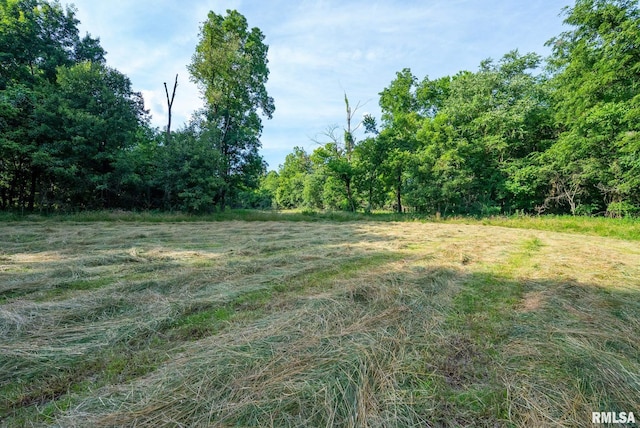 23490 E Maple Rd, Bluford, IL 62814 - view of yard with a wooded view