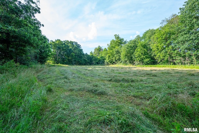 23490 E Maple Rd, Bluford, IL 62814 - view of wooded area