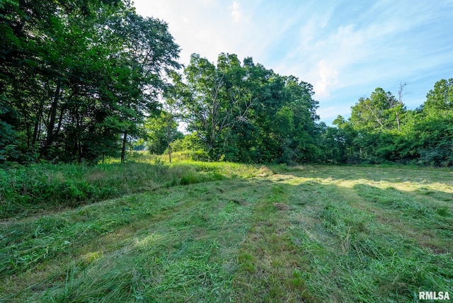 23490 E Maple Rd, Bluford, IL 62814 - view of yard
