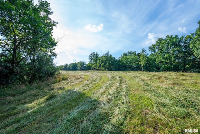 23490 E Maple Rd, Bluford, IL 62814 - view of yard with a rural view