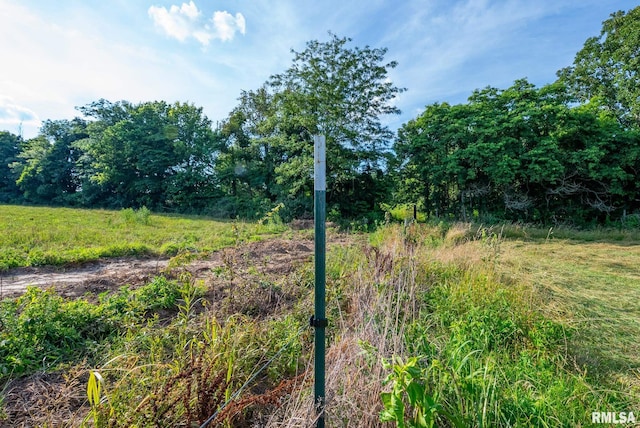 23490 E Maple Rd, Bluford, IL 62814 - view of undeveloped land
