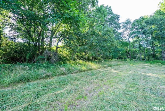 23490 E Maple Rd, Bluford, IL 62814 - view of yard