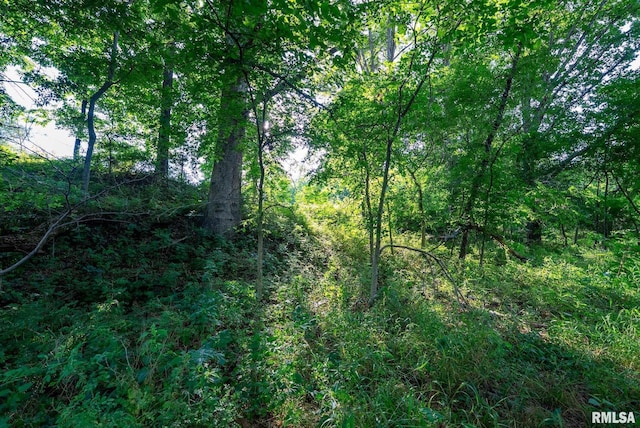 23490 E Maple Rd, Bluford, IL 62814 - view of woods