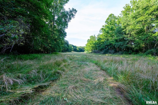 23490 E Maple Rd, Bluford, IL 62814 - view of yard
