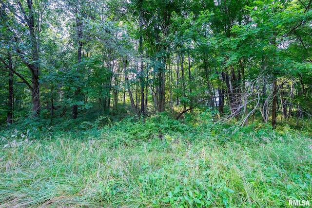 23490 E Maple Rd, Bluford, IL 62814 - view of tree filled area