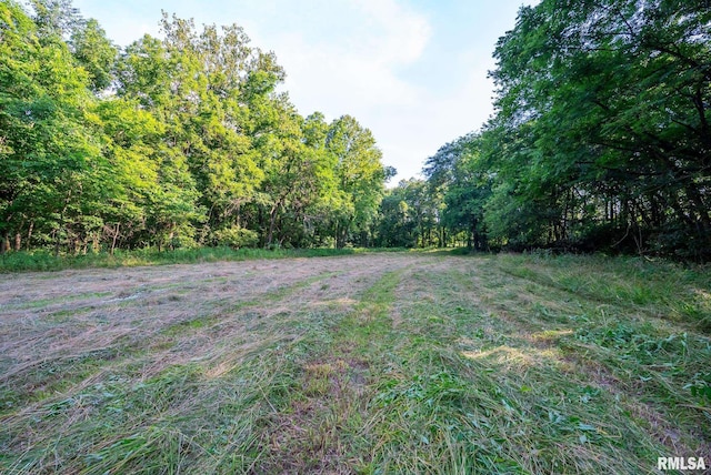 23490 E Maple Rd, Bluford, IL 62814 - view of yard featuring a wooded view