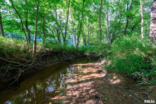 23490 E Maple Rd, Bluford, IL 62814 - water view