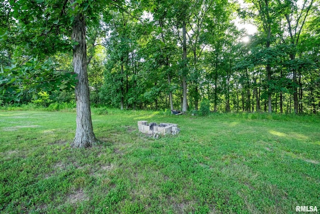 23490 E Maple Rd, Bluford, IL 62814 - view of green lawn
