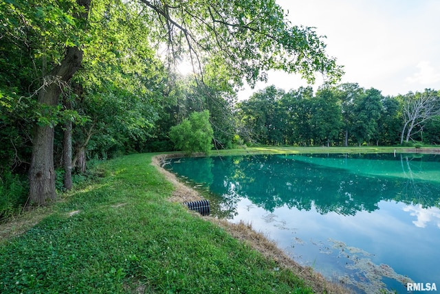 23490 E Maple Rd, Bluford, IL 62814 - water view with a heavily wooded area